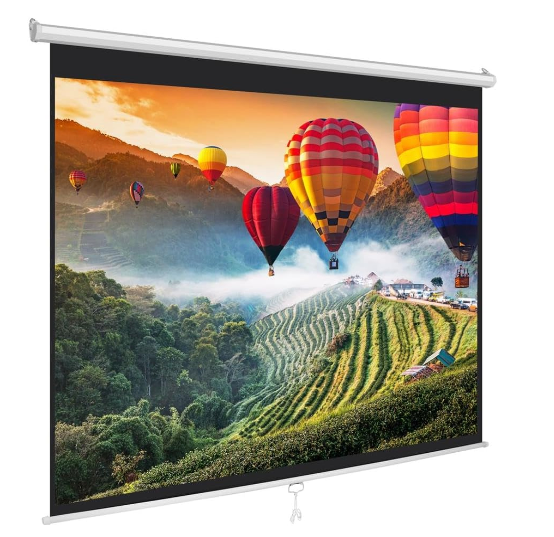 Projector Screen (72 inch)