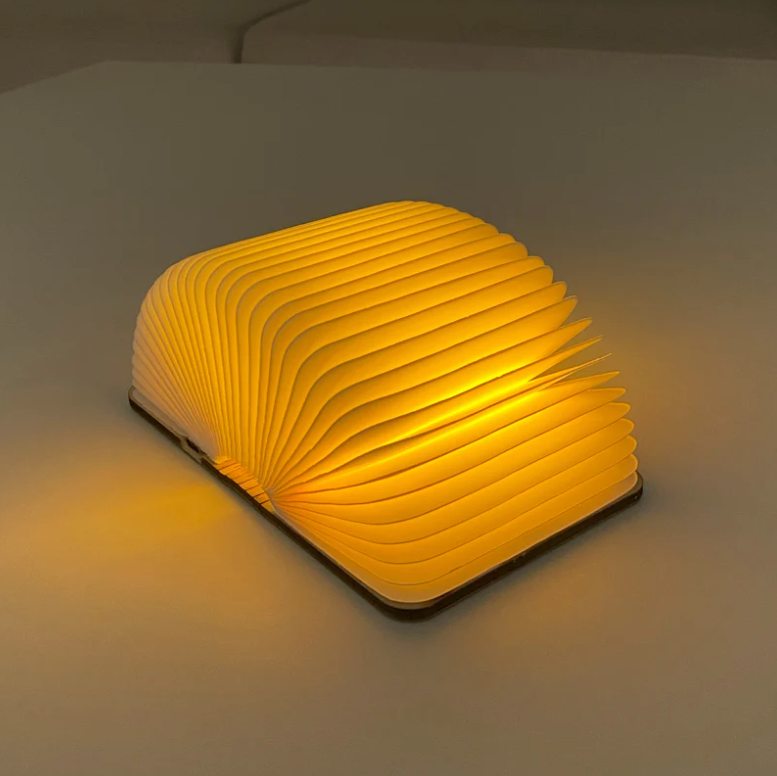 Nook's BookLight