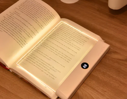 Nook's Book Light