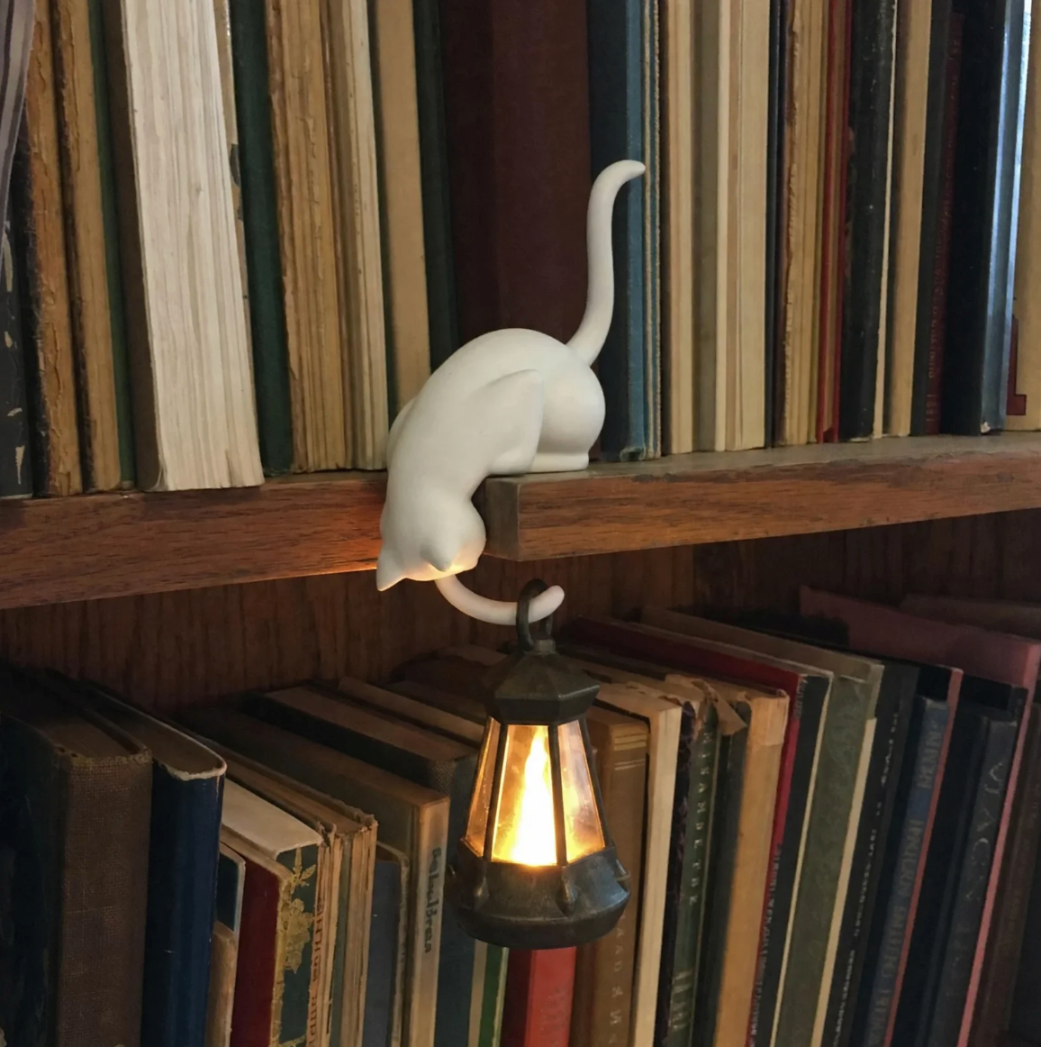 BookShelf Lamo