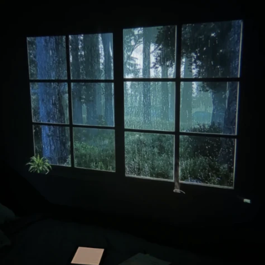 Reading Ambience